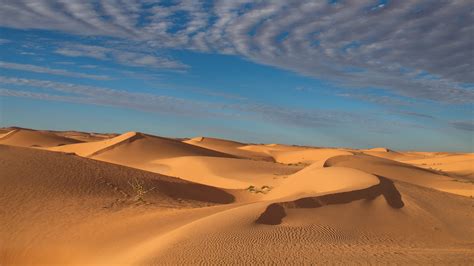 nature, landscape, desert, plants, sand, clouds, sky, Sand Ripples, dunes, Sahara, Egypt HD ...