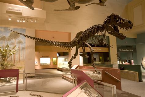 Smithsonian’s National Museum of Natural History to Build New Dinosaur Hall | Smithsonian ...