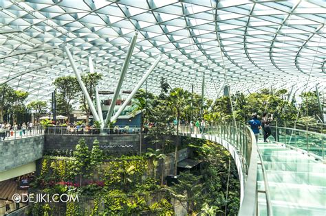 Jewel Changi Airport Canopy Park