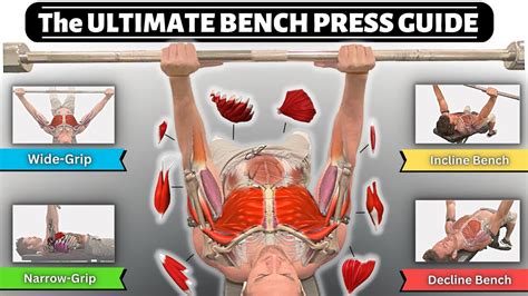 Bench Press Muscles Worked