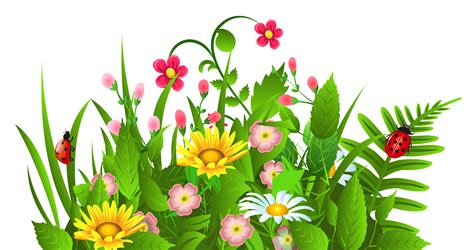 Free Summer Flower Cliparts, Download Free Summer Flower Cliparts png images, Free ClipArts on ...