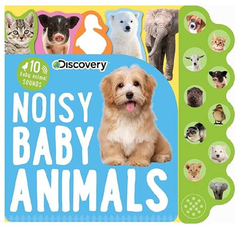 Noisy Baby Animals – 10 animal Sounds book – – Booky Wooky