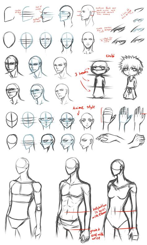 Manga Anatomy How To Draw Male Body Full Lesson Male Body Drawing | Images and Photos finder