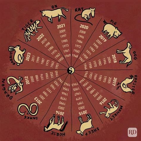 The 12 Chinese Zodiac Signs Explained & What They Mean For You 2024