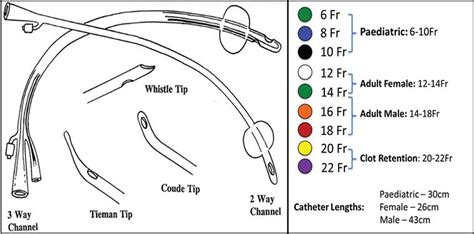 Urinary catheter types and sizes and how to choose – Artofit