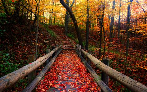 🔥 [34+] Autumn Covered Bridge Wallpapers | WallpaperSafari