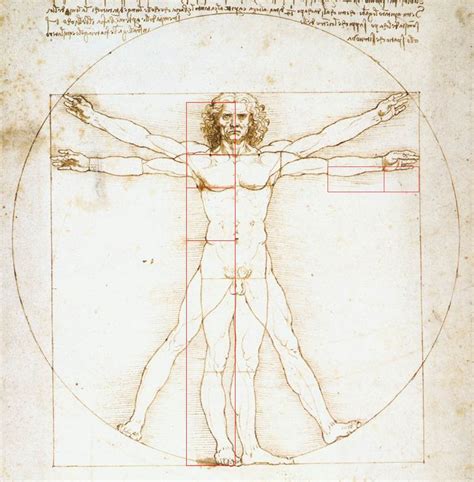 Da-Vinci-Vitruvian-Man-Golden-Ratio-Divine-Proportion - The Golden Ratio: Phi, 1.618