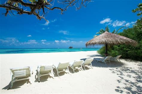 Premium Photo | Tropical beach in maldives