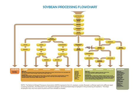 Soybean Processing Chart - NOPA