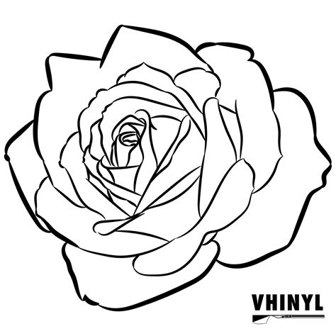 Rose Flower Vector SVG - Etsy