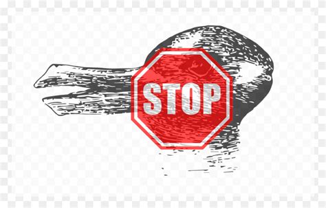 Stop Sign Stop Sign Vector, Stopsign, Road Sign, Sign HD PNG Download - FlyClipart