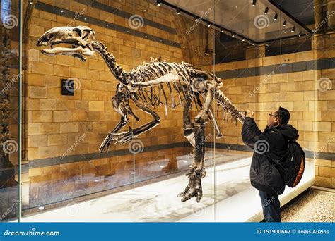 Huge Dinosaur Bones at Central Hall, Natural History Museum Editorial Photography - Image of ...