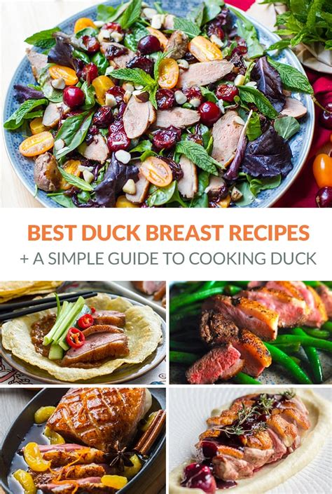 15 Healthy Duck Breast Recipes & How To Cook With Duck