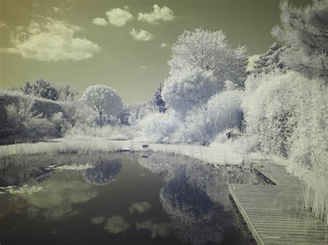 An In-Depth Infrared Filter Comparison