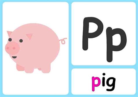 a pink pig is standing in front of the letters p and p, which are black