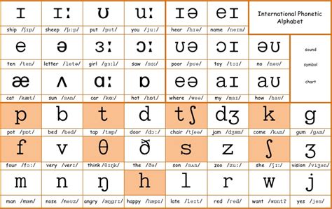 International Phonetic Alphabet Sounds Of English : Accentbase Com Accents From Around The World ...