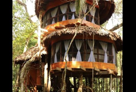 Stay in the Amazon jungle canopy at the unique Treehouse Lodge