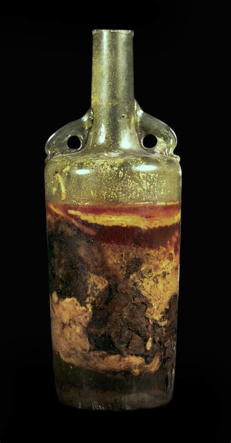 The World's Oldest Bottle of Wine and Where it was Found - On The Wine Road