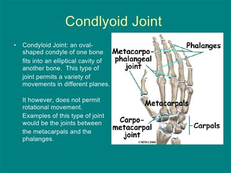 Joint Sector Meaning