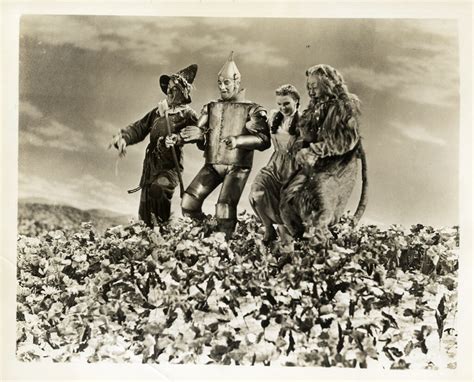 WIZARD OF OZ, THE (1939) Photo of poppy field with snow - WalterFilm