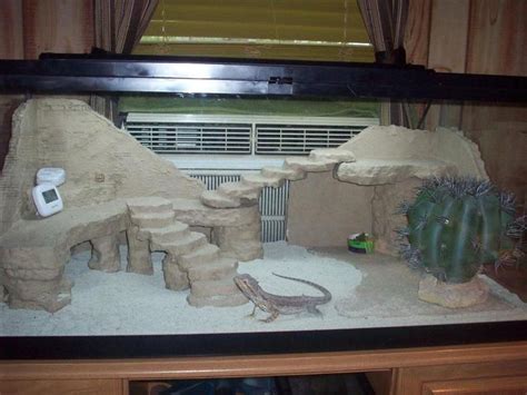 bearded dragon tank setup ideas - Yan Bourne