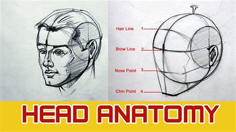 HEAD ANATOMY | How to Draw the Head / Face / PART -01 - YouTube