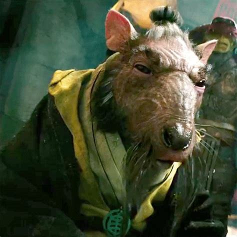 Image - Master-splinter-teenage-mutant.jpg | Power Rangers Fanon Wiki | FANDOM powered by Wikia