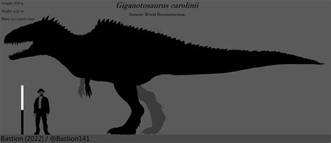 Giganotosaurus Size Comparison