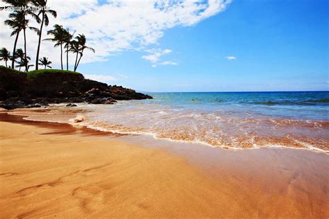 Maui Beach Sunset Wallpaper - WallpaperSafari