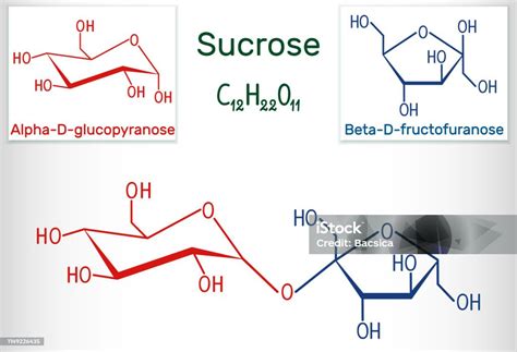Molekul Gula Sukrosa Formula Kimia Struktural Dan Model Molekul Ilustrasi Stok - Unduh Gambar ...