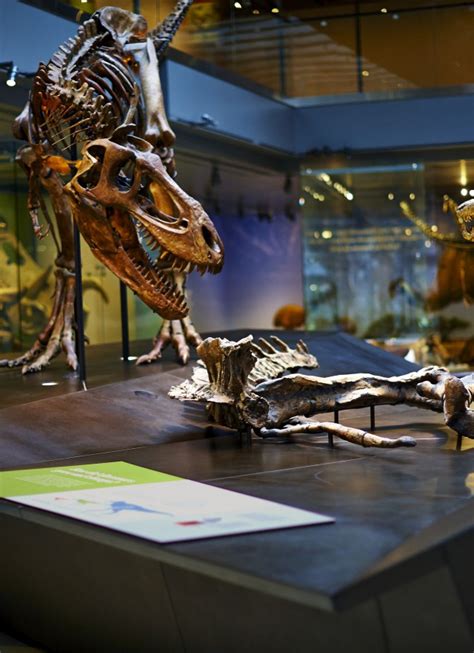 Dinosaur Hall | Natural History Museum