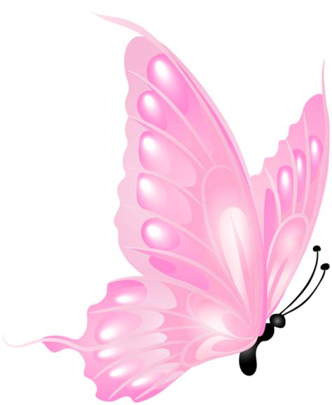 Pink Butterfly Transparent PNG Clipart | Pink butterfly, Butterfly clip art, Pink flowers wallpaper