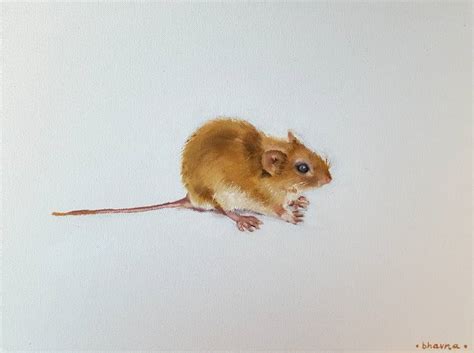 Year of the Mouse - Portrait of White Mouse Painting by Bhavna Misra | Saatchi Art