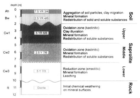 Zonation and properties of soil-saprolite complexes illustrated by an... | Download Scientific ...