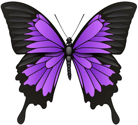 Purple Butterflies Clipart | Free download on ClipArtMag