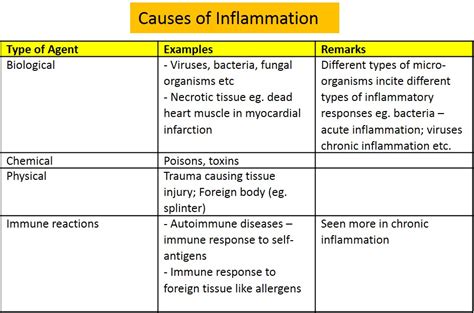 II. What causes inflammation? | Pathology Demystified