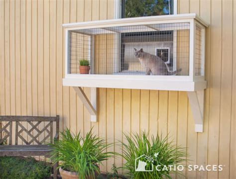 Is It Easy To Build A Window Box Enclosure for My Cat? - Catio Spaces