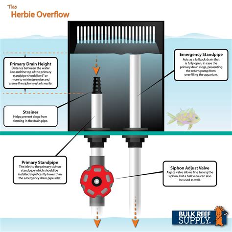 How To Prevent Sump Overflow - Battlepriority6