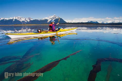 Sea Kayaking Glacier Bay National Park | garyluhm.net