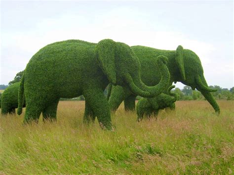 Artificial Topiary Sculptures Gallery | Topiary Art Designs