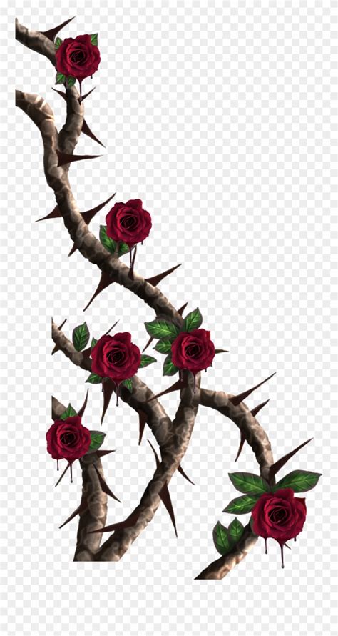 Download Vines Roses Vine Red - Rose Thorns Png Clipart (#4053334) - PinClipart