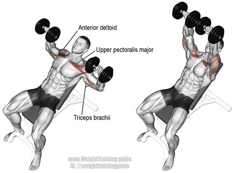 Incline dumbbell bench press instructions and video | WeightTraining.Guide