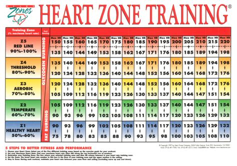 Heart Rate Monitor for Training - IDEA Health & Fitness Association