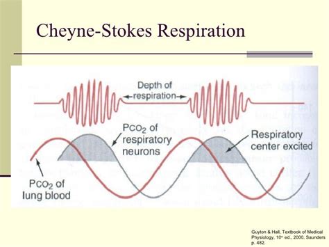 Cheyne stokes and agonal - General Nursing Support