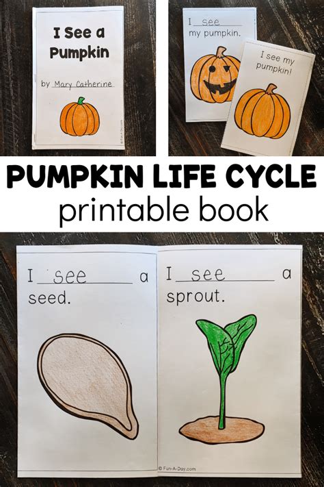 Free Pumpkin Life Cycle Printable Book - Fun-A-Day!