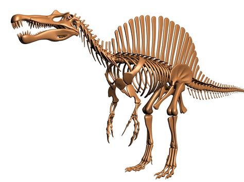 Spinosaurus Skeleton 3D Model $99 - .obj .max - Free3D