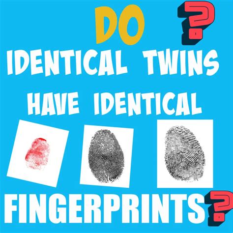 Do identical twins have identical fingerprints?