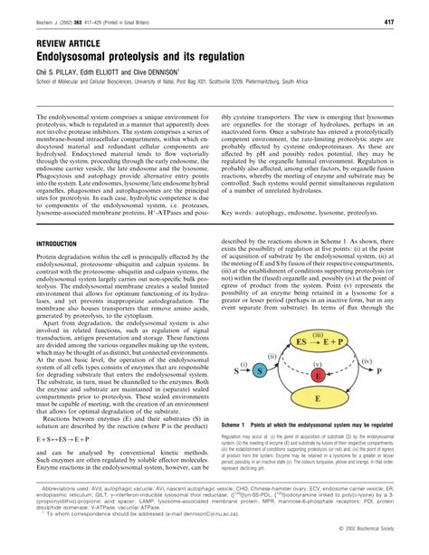 (PDF) Endolysosomal proteolysis and its regulation