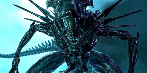 Alien's Xenomorph Queens Have a Horrific Final Fate the Movies Ignore