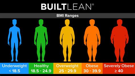 BMI Chart for Men & Women: Is BMI Misleading? - BuiltLean